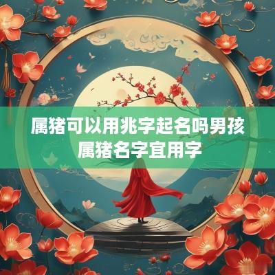 属猪可以用兆字起名吗男孩 属猪名字宜用字
