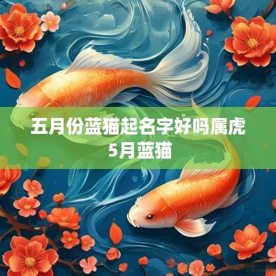 五月份蓝猫起名字好吗属虎 5月蓝猫