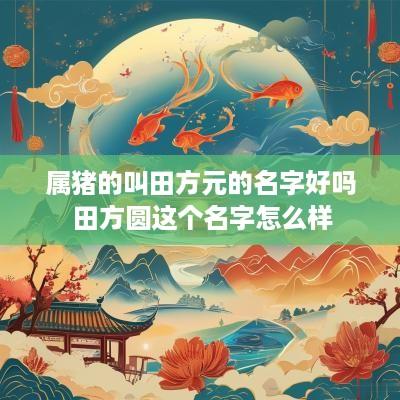 属猪的叫田方元的名字好吗 田方圆这个名字怎么样