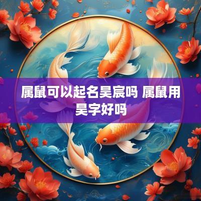 属鼠可以起名昊宸吗 属鼠用昊字好吗