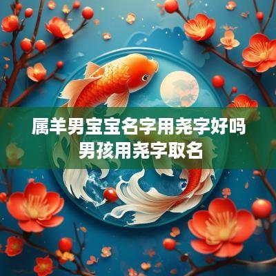 属羊男宝宝名字用尧字好吗 男孩用尧字取名