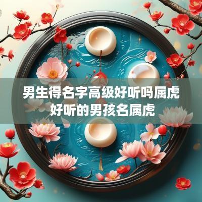 男生得名字高级好听吗属虎 好听的男孩名属虎