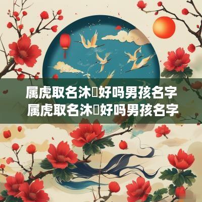 属虎取名沐玥好吗男孩名字 属虎取名沐玥好吗男孩名字怎么取
