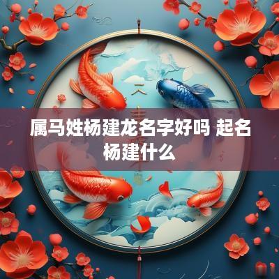 属马姓杨建龙名字好吗 起名杨建什么