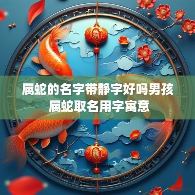 属蛇的名字带静字好吗男孩 属蛇取名用字寓意