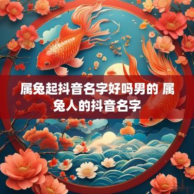 属兔起抖音名字好吗男的 属兔人的抖音名字