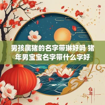 男孩属猪的名字带琳好吗 猪年男宝宝名字带什么字好