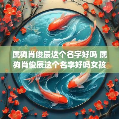 属狗肖俊辰这个名字好吗 属狗肖俊辰这个名字好吗女孩