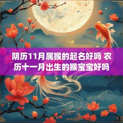 阴历11月属猴的起名好吗 农历十一月出生的猴宝宝好吗