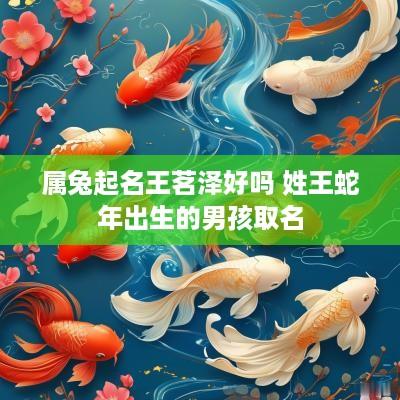 属兔起名王茗泽好吗 姓王蛇年出生的男孩取名