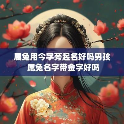 属兔用今字旁起名好吗男孩 属兔名字带金字好吗