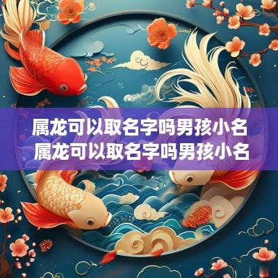 属龙可以取名字吗男孩小名 属龙可以取名字吗男孩小名叫什么