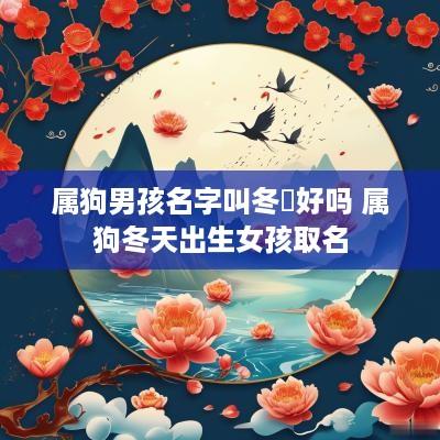 属狗男孩名字叫冬宬好吗 属狗冬天出生女孩取名