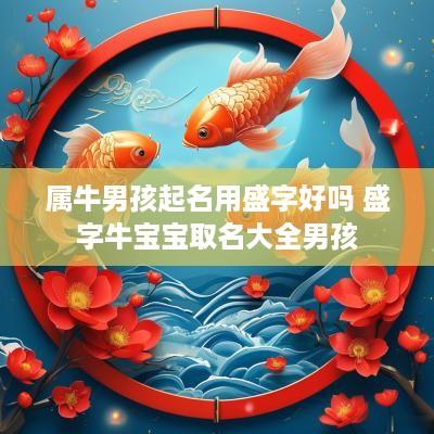 属牛男孩起名用盛字好吗 盛字牛宝宝取名大全男孩