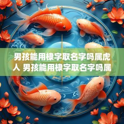 男孩能用棣字取名字吗属虎人 男孩能用棣字取名字吗属虎人