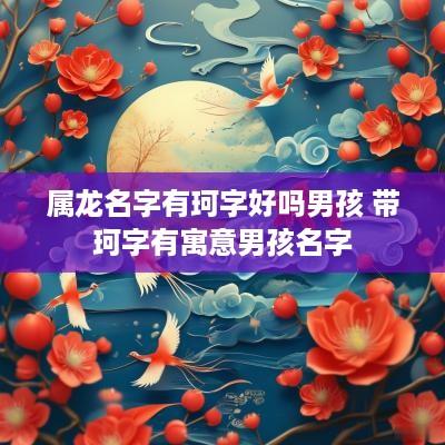属龙名字有珂字好吗男孩 带珂字有寓意男孩名字