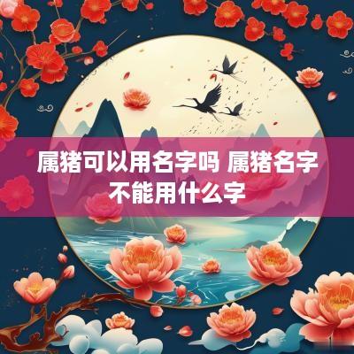 属猪可以用名字吗 属猪名字不能用什么字