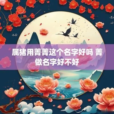 属猪用菁菁这个名字好吗 菁做名字好不好