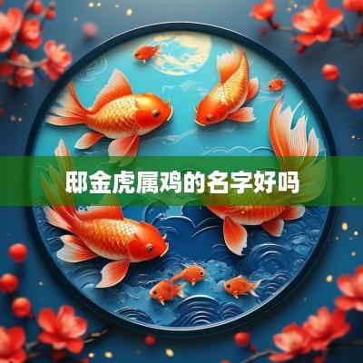 邸金虎属鸡的名字好吗