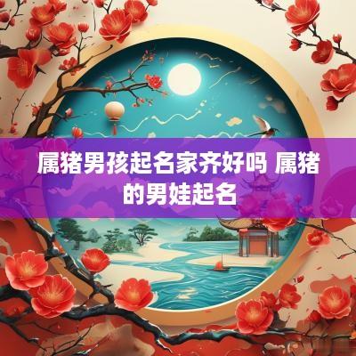 属猪男孩起名家齐好吗 属猪的男娃起名