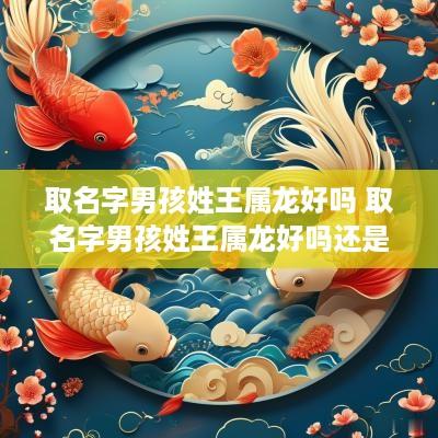 取名字男孩姓王属龙好吗 取名字男孩姓王属龙好吗还是属兔