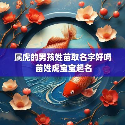 属虎的男孩姓苗取名字好吗 苗姓虎宝宝起名