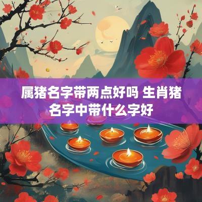属猪名字带两点好吗 生肖猪名字中带什么字好