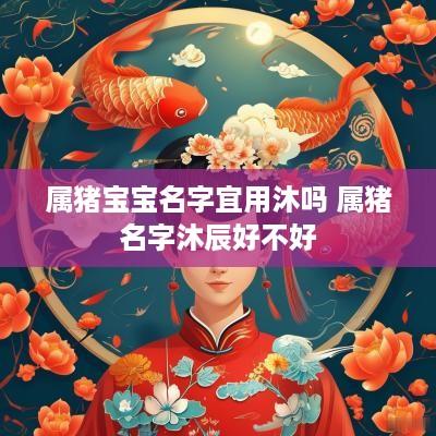 属猪宝宝名字宜用沐吗 属猪名字沐辰好不好