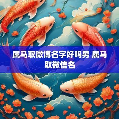属马取微博名字好吗男 属马取微信名
