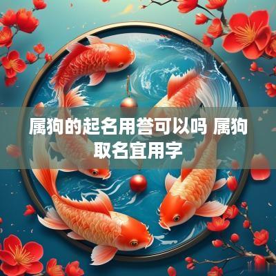 属狗的起名用誉可以吗 属狗取名宜用字