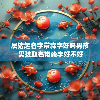 属猪起名字带淼字好吗男孩 男孩取名带淼字好不好