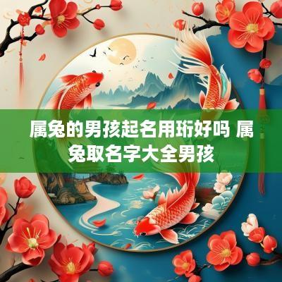 属兔的男孩起名用珩好吗 属兔取名字大全男孩