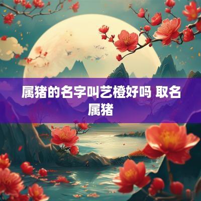 属猪的名字叫艺橙好吗 取名属猪