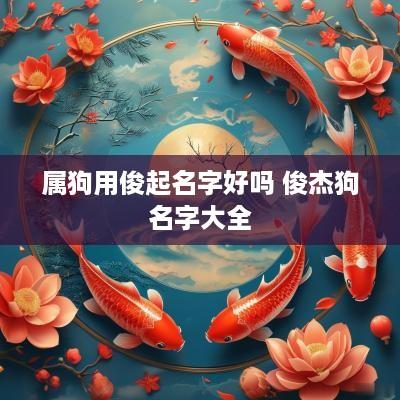 属狗用俊起名字好吗 俊杰狗名字大全