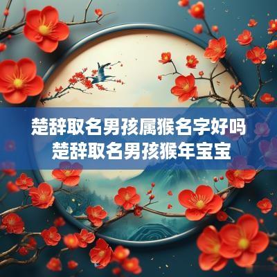 楚辞取名男孩属猴名字好吗 楚辞取名男孩猴年宝宝