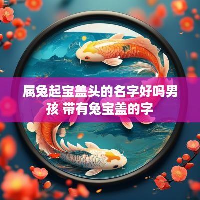 属兔起宝盖头的名字好吗男孩 带有兔宝盖的字