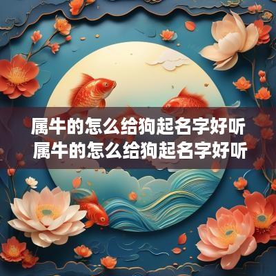 属牛的怎么给狗起名字好听 属牛的怎么给狗起名字好听点