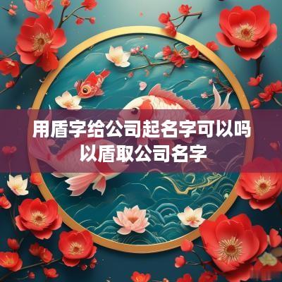 用盾字给公司起名字可以吗 以盾取公司名字