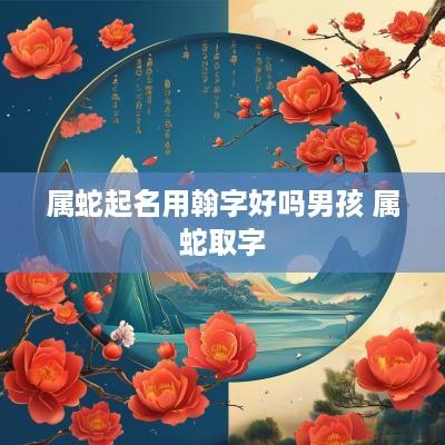 属蛇起名用翰字好吗男孩 属蛇取字