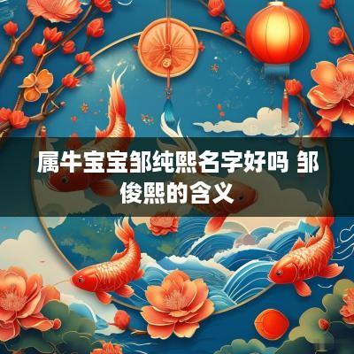 属牛宝宝邹纯熙名字好吗 邹俊熙的含义