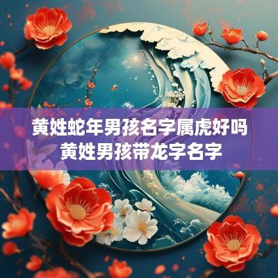 黄姓蛇年男孩名字属虎好吗 黄姓男孩带龙字名字