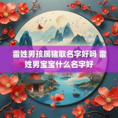 雷姓男孩属猪取名字好吗 雷姓男宝宝什么名字好