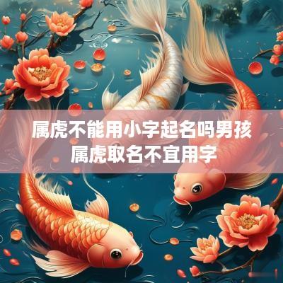 属虎不能用小字起名吗男孩 属虎取名不宜用字