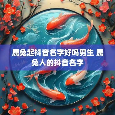 属兔起抖音名字好吗男生 属兔人的抖音名字