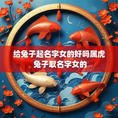 给兔子起名字女的好吗属虎 兔子取名字女的