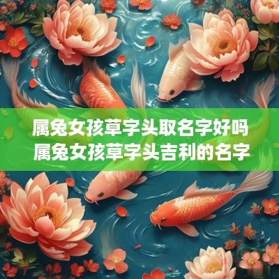 属兔女孩草字头取名字好吗 属兔女孩草字头吉利的名字