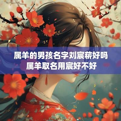 属羊的男孩名字刘宸菥好吗 属羊取名用宸好不好
