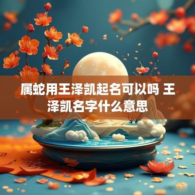 属蛇用王泽凯起名可以吗 王泽凯名字什么意思