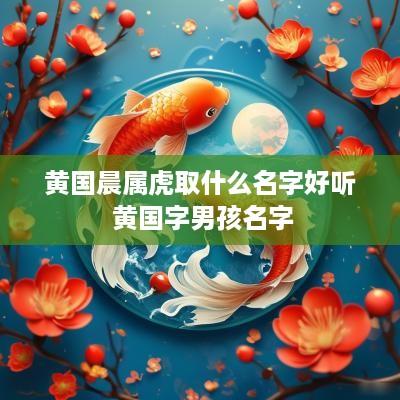 黄国晨属虎取什么名字好听 黄国字男孩名字