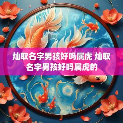 灿取名字男孩好吗属虎 灿取名字男孩好吗属虎的